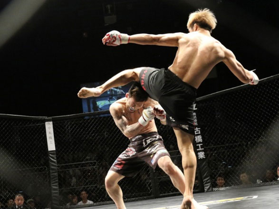 Unified Rules MMA và tầm quan trọng trong lịch sử võ tổng hợp