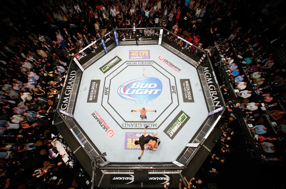 Lồng bát giác - biểu tượng của MMA và nguồn gốc bất ngờ