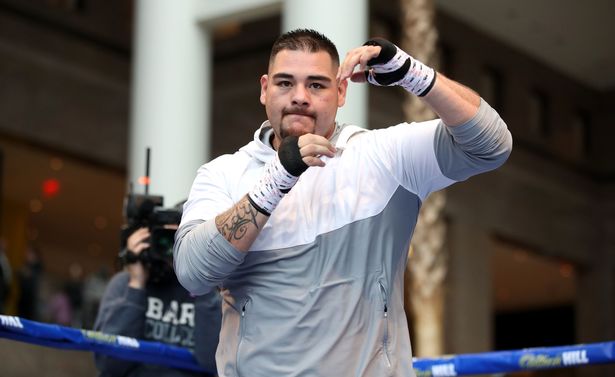 Chàng béo Andy Ruiz Jr sẽ giảm cân để tái đấu Anthony Joshua