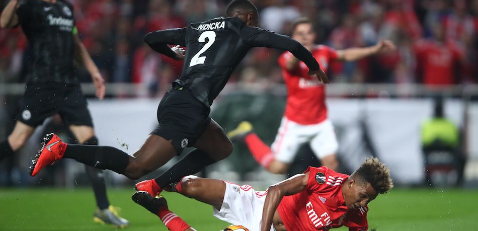 Mèo tiên tri dự đoán Benfica vs Chivas (ICC 2019)