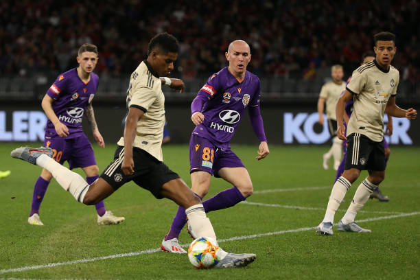 Mèo tiên tri dự đoán MU vs Inter (ICC 2019)