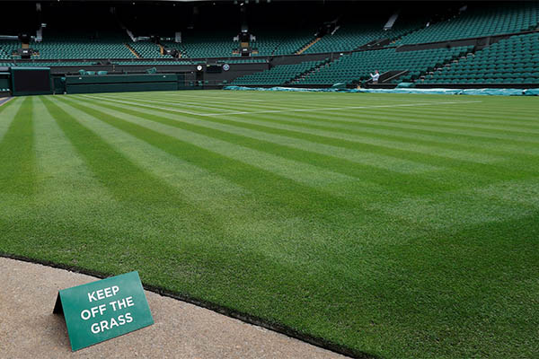 Wimbledon biến động trong 50 năm qua: Nhìn mặt sân, đoán lối chơi!