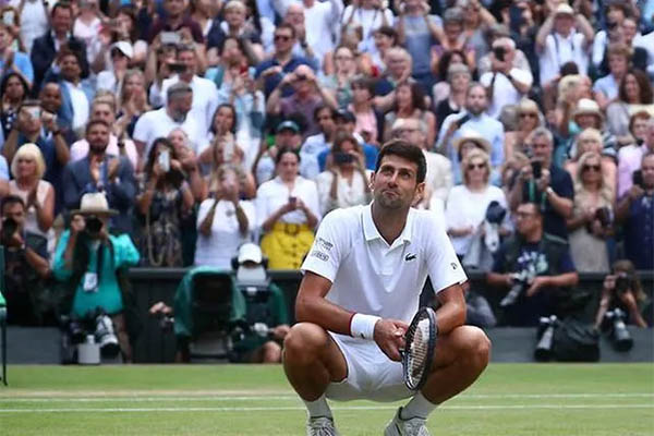 Rogers Cup bị sốc: Djokovic rút lui theo Federer!