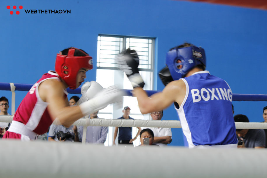 Những hình ảnh đáng nhớ từ giải Boxing B7 Những hình ảnh đáng nhớ từ giải Boxing B7
