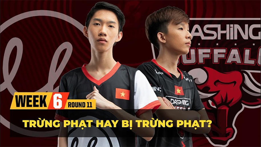 Dashing Buffalo vs Lowkey Esports: 1 mục tiêu, 2 tâm thế