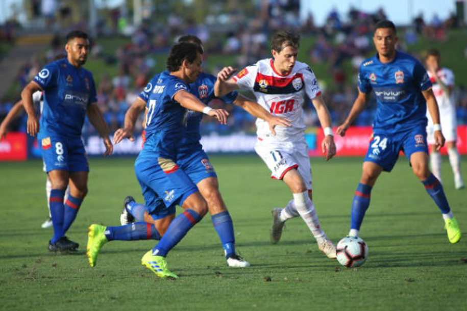 Nhận định Adelaide United vs Newcastle Jets 16h30 ngày 17/9 (FFA Cup, Australia)