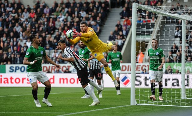 Dự đoán Newcastle vs Brighton 23h30, 21/09 (Vòng 6 NHA)