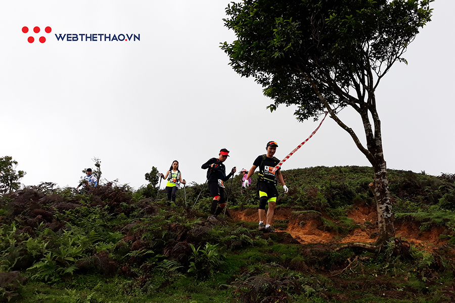 Vì sao phải chạy ở Vietnam Mountain Marathon ít nhất một lần trong đời? Vì sao phải chạy ở Vietnam Mountain Marathon ít nhất một lần trong đời?