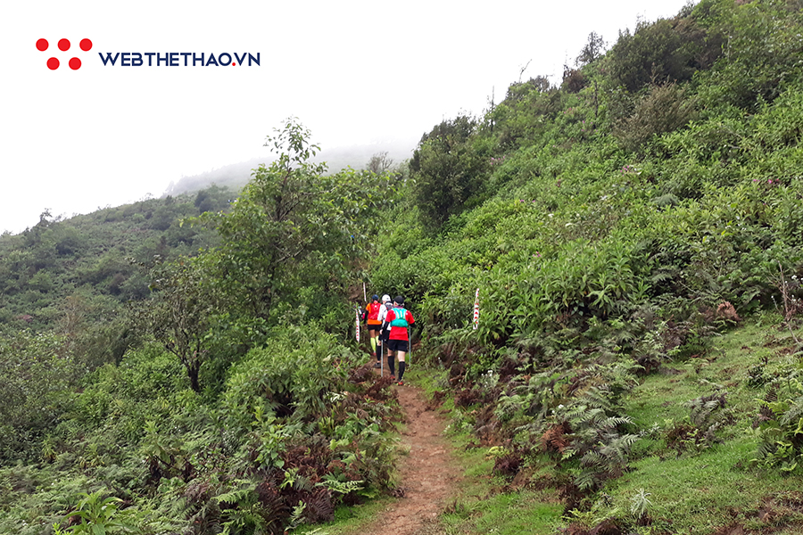 Vì sao phải chạy ở Vietnam Mountain Marathon ít nhất một lần trong đời? Vì sao phải chạy ở Vietnam Mountain Marathon ít nhất một lần trong đời?