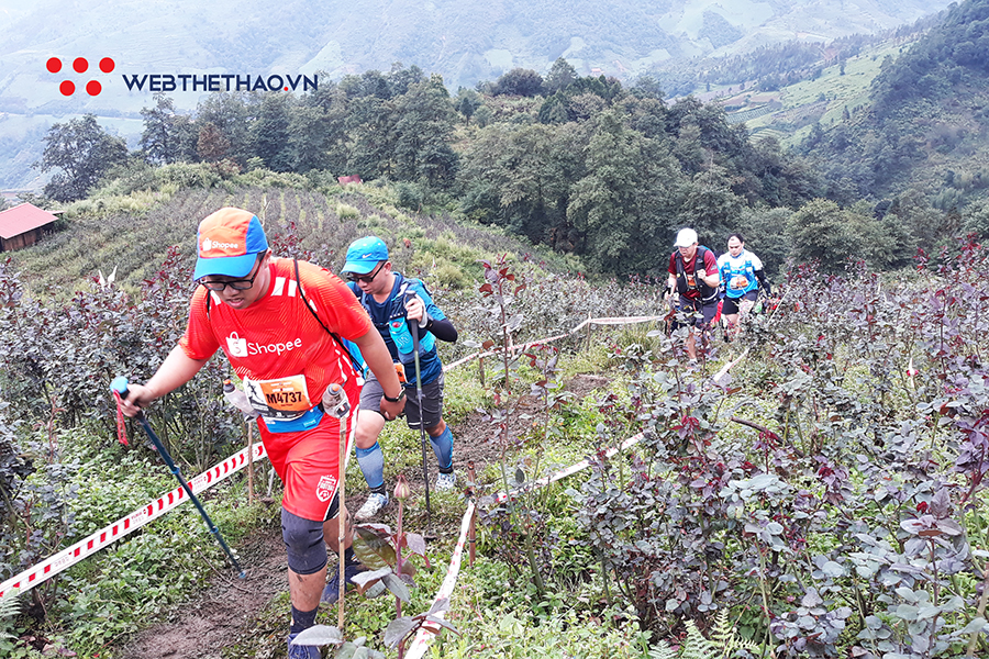 Vì sao phải chạy ở Vietnam Mountain Marathon ít nhất một lần trong đời? Vì sao phải chạy ở Vietnam Mountain Marathon ít nhất một lần trong đời?