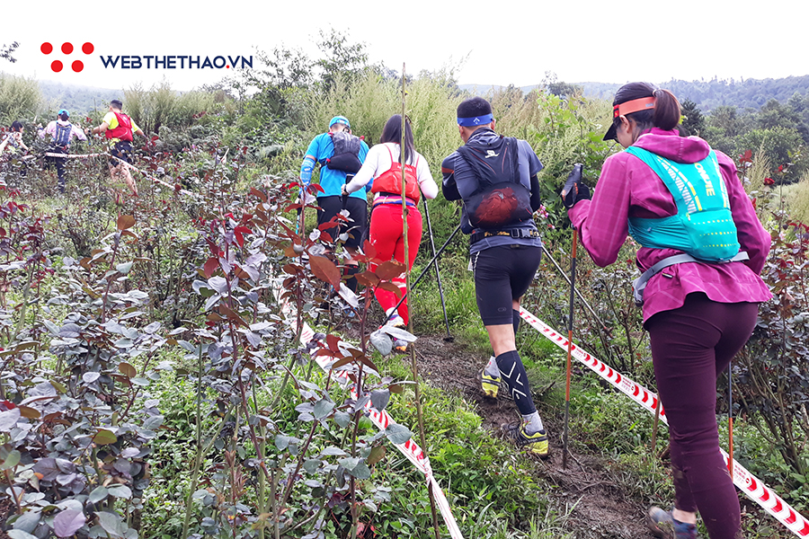 Vì sao phải chạy ở Vietnam Mountain Marathon ít nhất một lần trong đời? Vì sao phải chạy ở Vietnam Mountain Marathon ít nhất một lần trong đời?