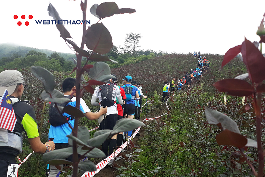 Vì sao phải chạy ở Vietnam Mountain Marathon ít nhất một lần trong đời? Vì sao phải chạy ở Vietnam Mountain Marathon ít nhất một lần trong đời?