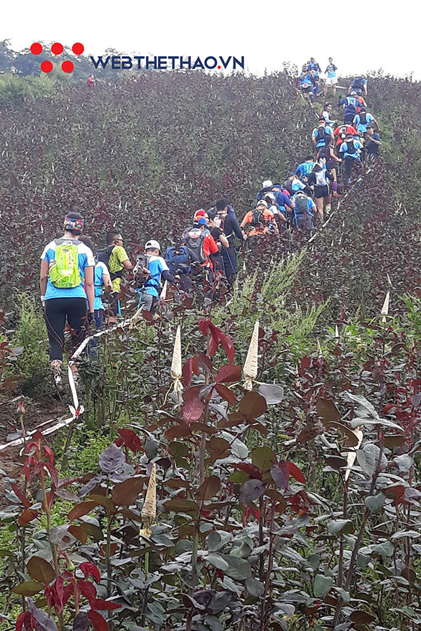 Vì sao phải chạy ở Vietnam Mountain Marathon ít nhất một lần trong đời? Vì sao phải chạy ở Vietnam Mountain Marathon ít nhất một lần trong đời?