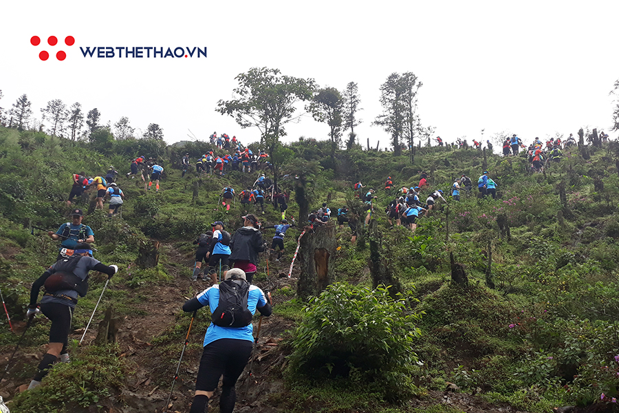 Vì sao phải chạy ở Vietnam Mountain Marathon ít nhất một lần trong đời? Vì sao phải chạy ở Vietnam Mountain Marathon ít nhất một lần trong đời?