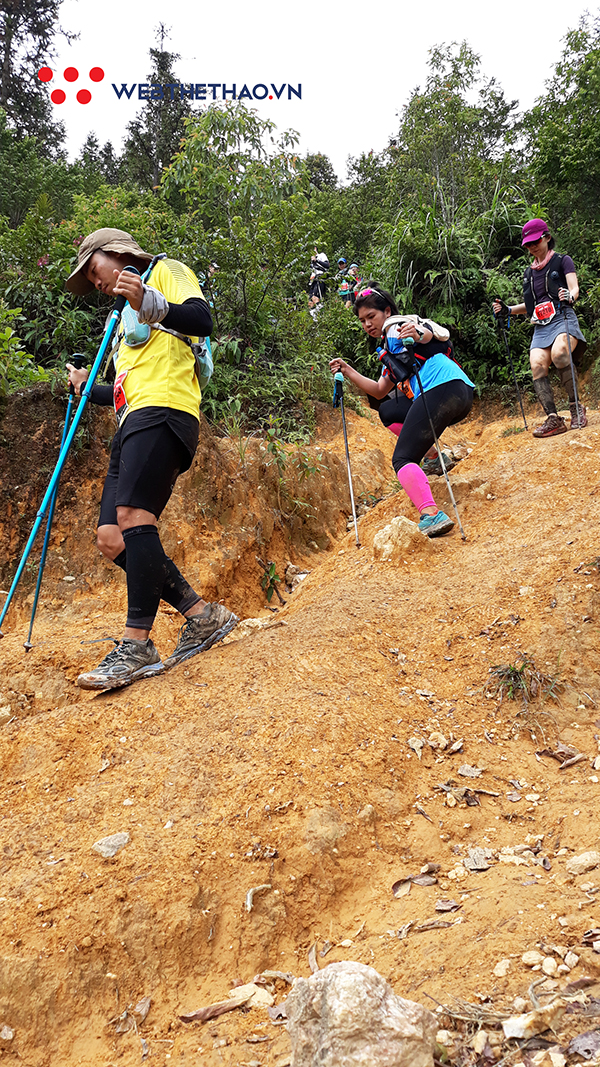 Vì sao phải chạy ở Vietnam Mountain Marathon ít nhất một lần trong đời? Vì sao phải chạy ở Vietnam Mountain Marathon ít nhất một lần trong đời?