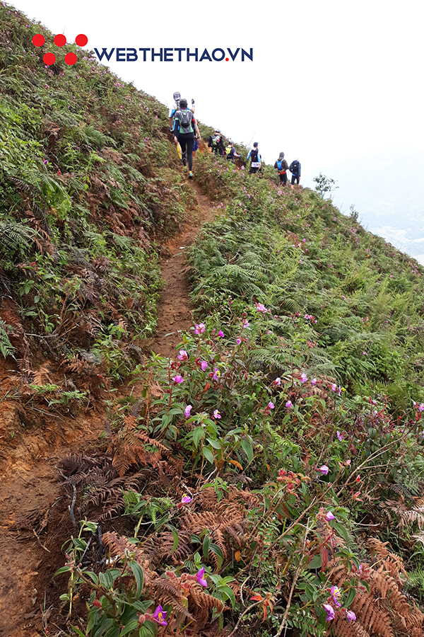 Vì sao phải chạy ở Vietnam Mountain Marathon ít nhất một lần trong đời? Vì sao phải chạy ở Vietnam Mountain Marathon ít nhất một lần trong đời?