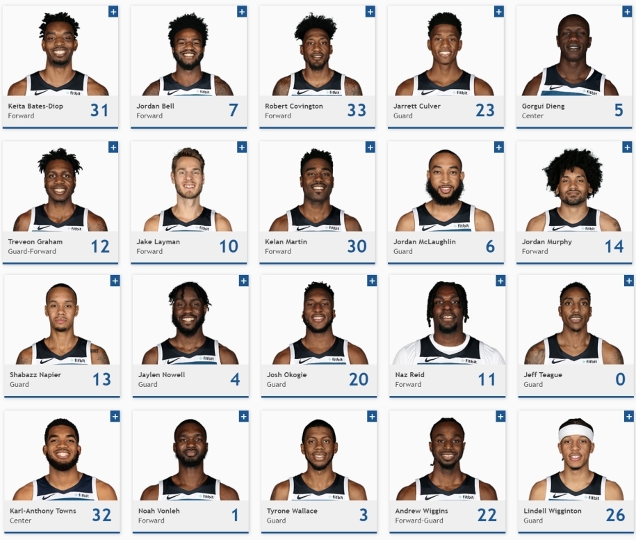 Thư viện NBA: Minnesota Timberwolves - những chú sói chờ ngày lớn
