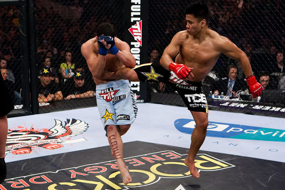 Cung Lê sẽ về ‘dạy võ Việt Nam’ bên lề sự kiện Victory 8 sắp tới
