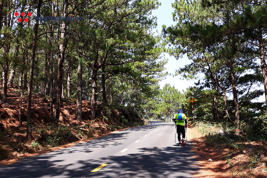 Cách chinh phục Langbiang Trail 2019 chỉ trong 2 tuần tập luyện
