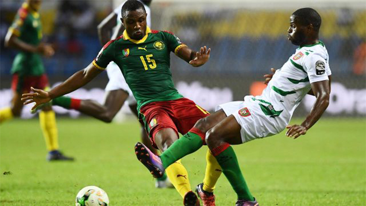 Nhận định Tunisia vs Cameroon 23h00, ngày 12/10 (Giao hữu quốc tế)