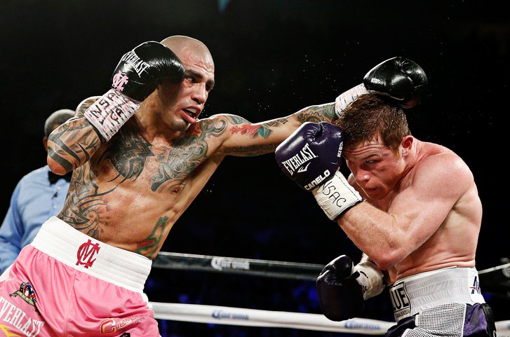 Phân tích chuyên sâu: Miguel Cotto - Nghệ sĩ cục súc (Kỳ cuối)