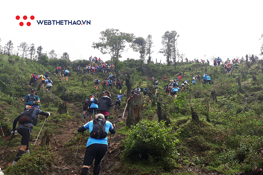 Chạy Langbiang Trail 2019 cần chuẩn bị những gì?