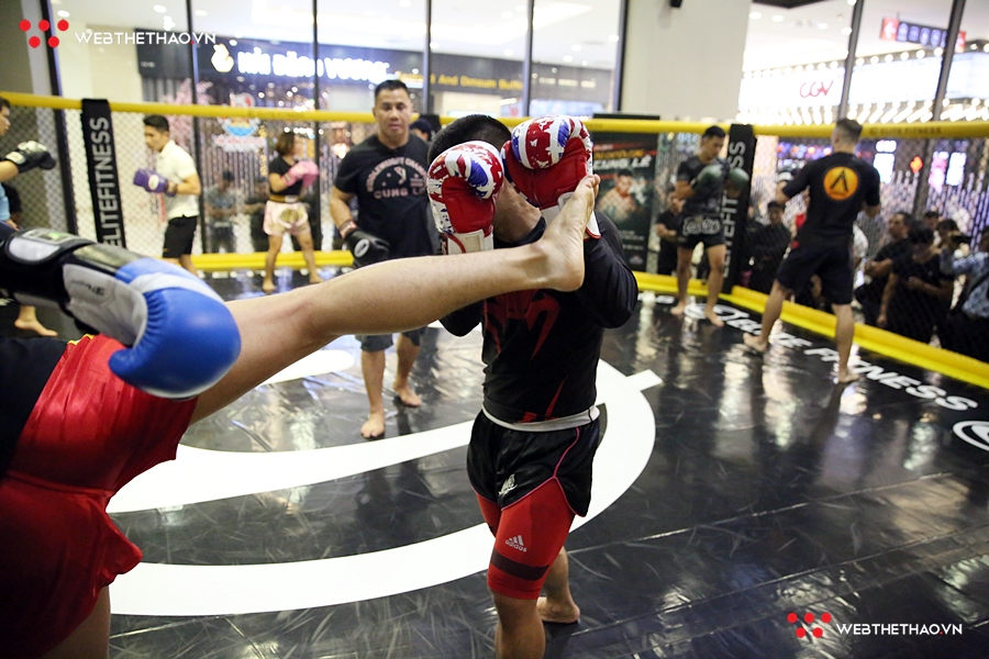 Huyền thoại MMA Cung Lê truyền dạy bí kíp chiến thắng ngay trong buổi talkshow