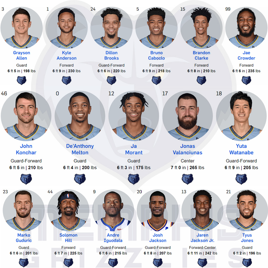 Thư viện NBA: Memphis Grizzlies, ươm mầm tài năng