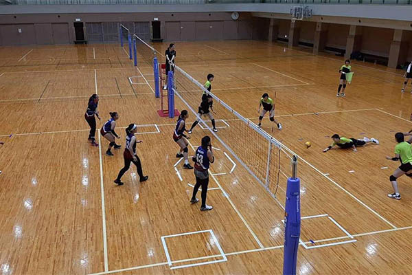 Bóng chuyền nữ SEA Games 30 còn 4 đội do Singapore bỏ cuộc