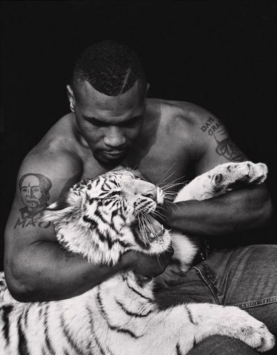 Mike Tyson chia sẻ lý do bán hổ sau 16 năm