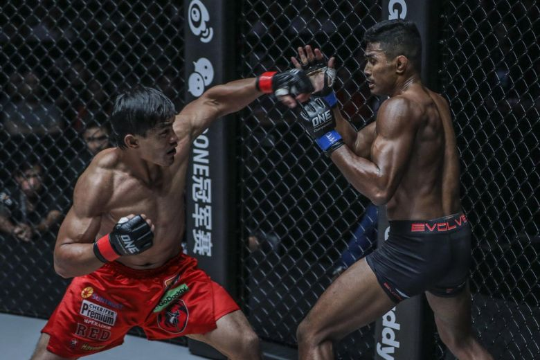 Những giải đấu MMA đáng xem nhất hiện nay