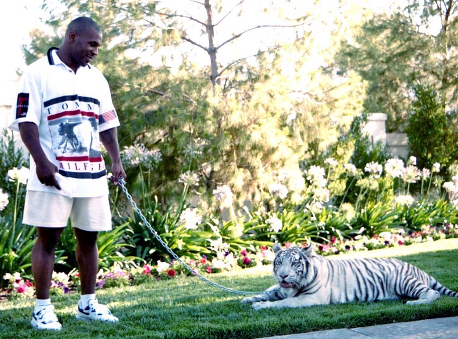 Mike Tyson chia sẻ lý do bán hổ sau 16 năm