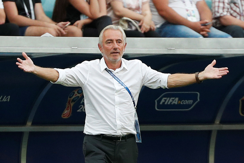 HLV Bert van Marwijk có thể bị sa thải nếu UAE thua Việt Nam