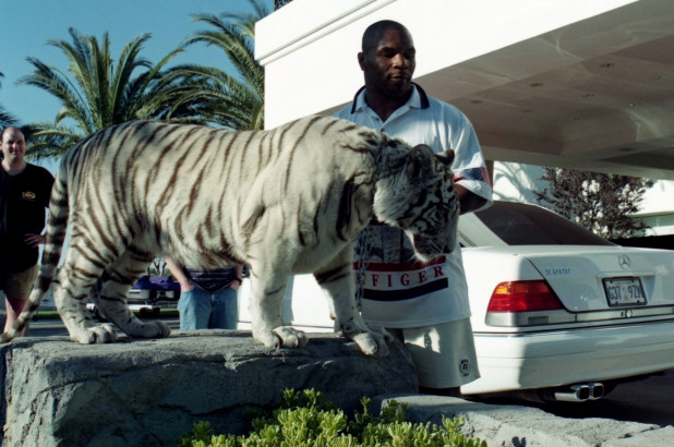 Sự thật thú vị: Mike Tyson từng giàu có như thế nào? Sự thật thú vị: Mike Tyson từng giàu có như thế nào?