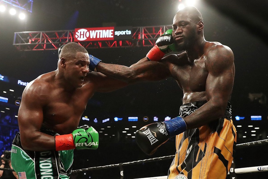 Những trận Boxing đáng chú ý cuối năm 2019