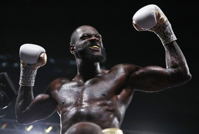Huấn luyện viên của Fury: “Cú đấm của Wilder mạnh nhất lịch sử boxing”