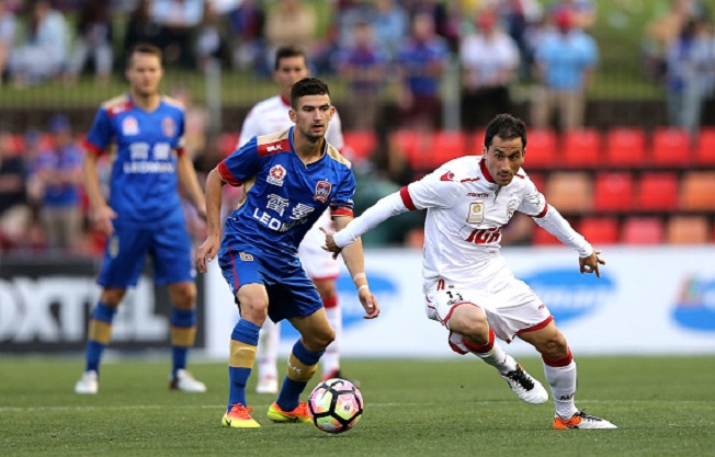 Nhận định Adelaide United vs Newcastle Jets 14h00, 08/12 (VĐQG Úc)