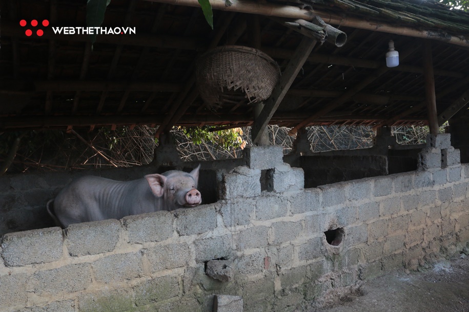 Thăm nhà Quách Thị Lan &ndash; Quách C&ocirc;ng Lịch ở mi&ecirc;̀n qu&ecirc; thanh bình Ngọc Lặc