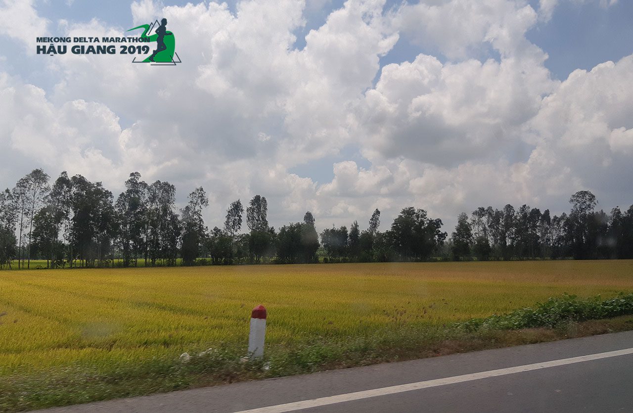 Mekong Delta Marathon Hậu Giang 2020 - Race đáng chơi của dân chạy bộ