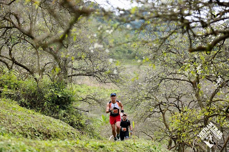 Những điều cần biết khi chạy Viet Nam Trail Marathon 2020