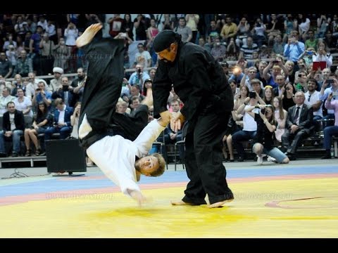 Thực hư về trình độ võ thuật của Steven Seagal