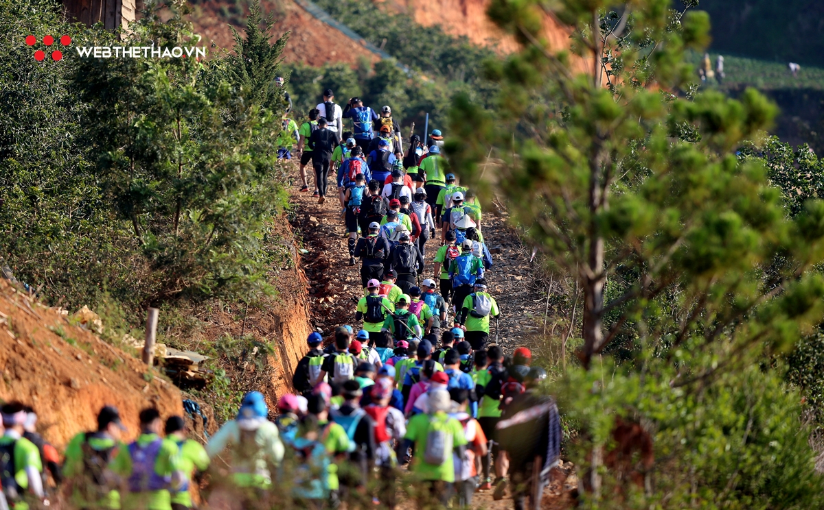 Dalat Ultra Trail 2019: Cuộc hành hương vĩ đại về xứ ngàn thông