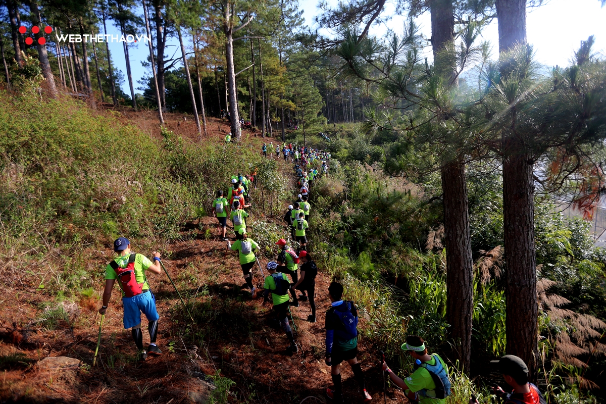 Dalat Ultra Trail 2019: Cuộc hành hương vĩ đại về xứ ngàn thông