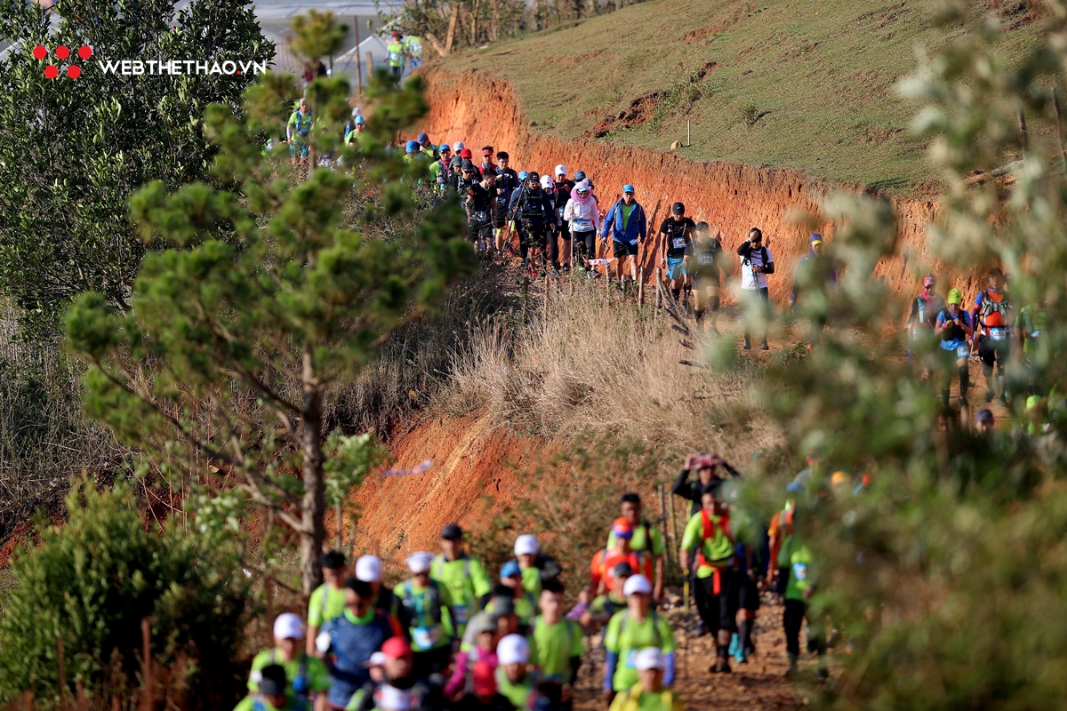 Dalat Ultra Trail 2019: Cuộc hành hương vĩ đại về xứ ngàn thông