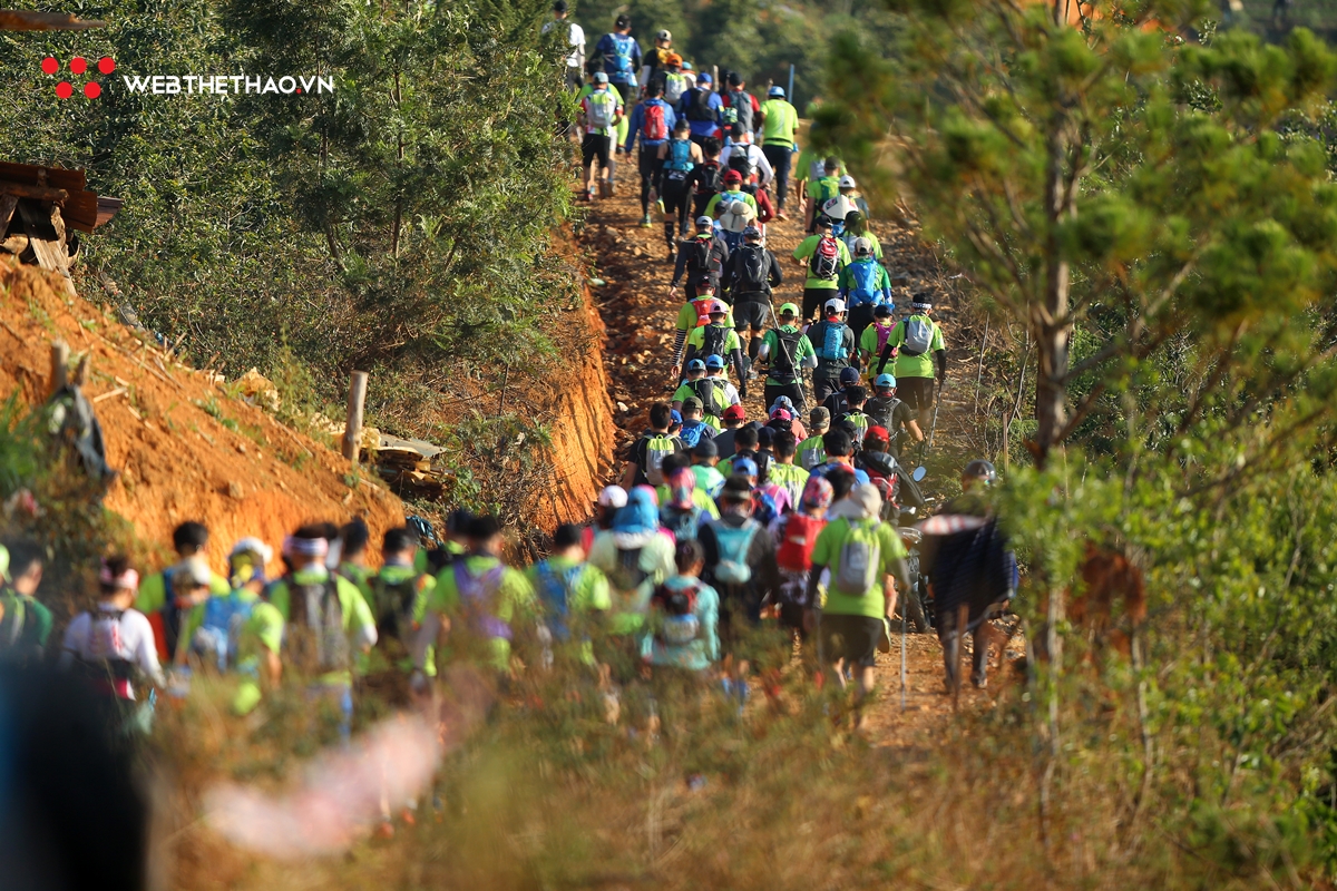 Dalat Ultra Trail 2019: Cuộc hành hương vĩ đại về xứ ngàn thông