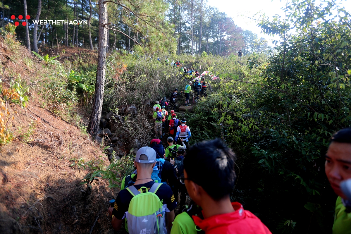 Dalat Ultra Trail 2019: Cuộc hành hương vĩ đại về xứ ngàn thông