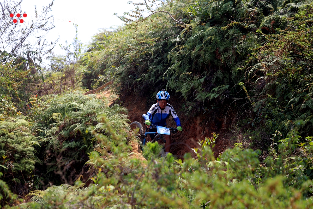 Dalat Victory Challenge 2019: 1001 cách chinh phục dốc đứng vực sâu của các cua rơ