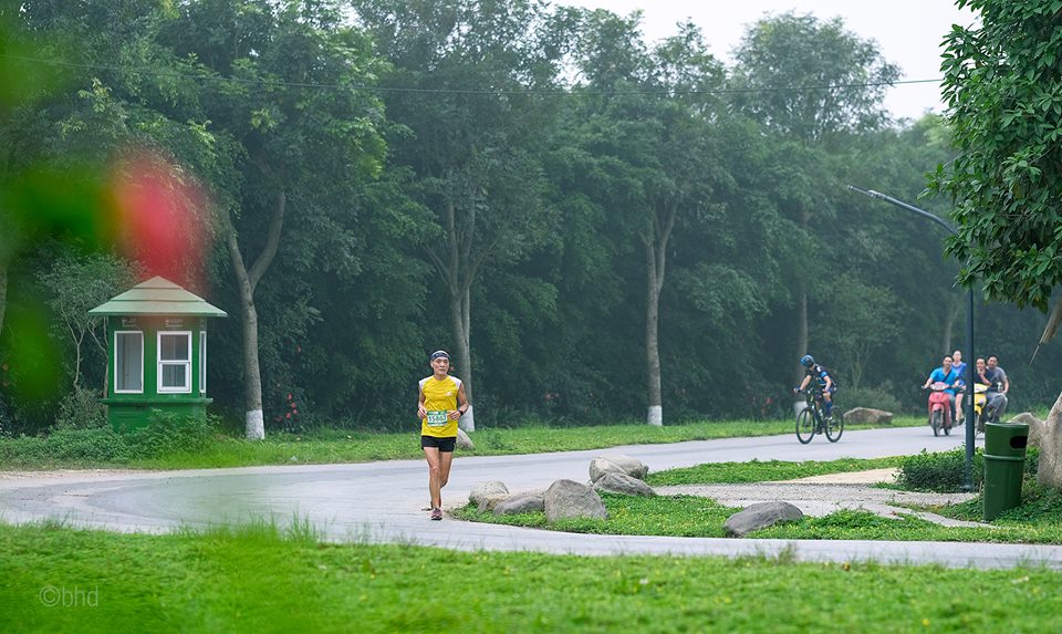 Mục kích đường chạy marathon Hoa vàng trên cỏ xanh Ecopark