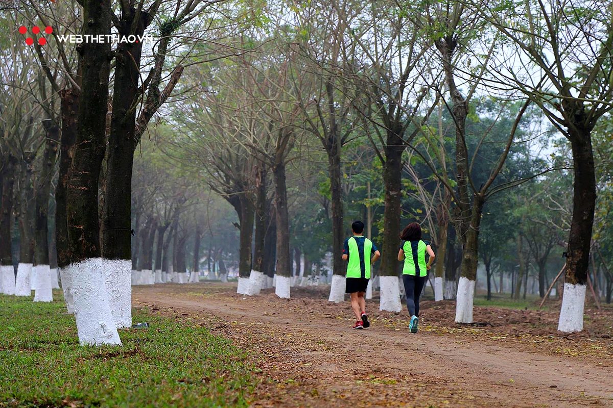 Ngắm cung đường chạy mê hồn của Ecopark Marathon 2019