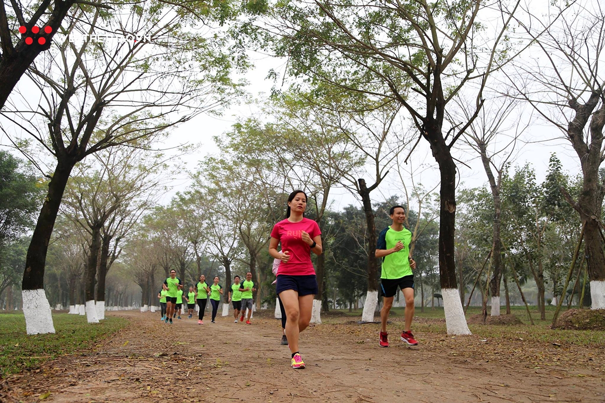 Ngắm cung đường chạy mê hồn của Ecopark Marathon 2019